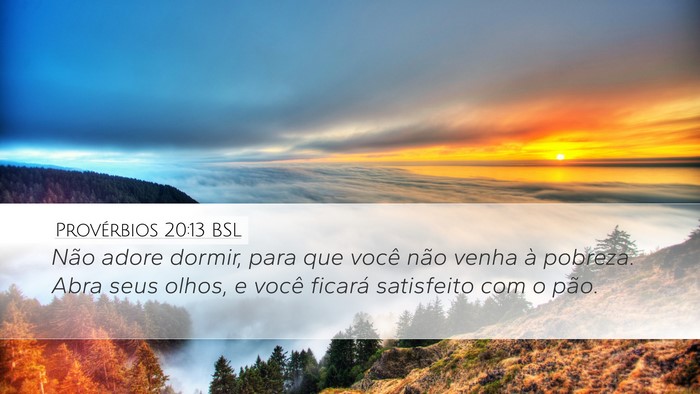 Provérbios 20:13 BSL Bible Verse Image