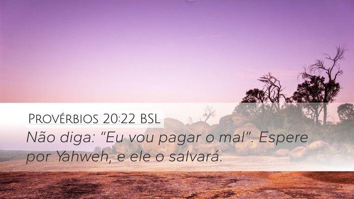 Provérbios 20:22 BSL Bible Verse Image