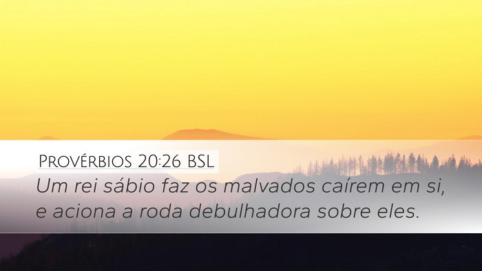 Provérbios 20:26 BSL Bible Verse Image