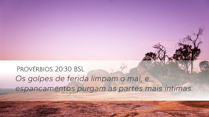 Provérbios 20:30 BSL Bible Verse Image
