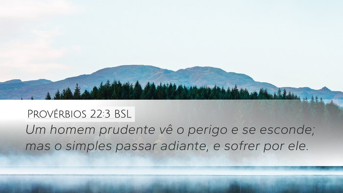 Provérbios 22:3 BSL Bible Verse Image