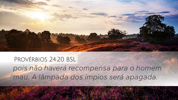 Provérbios 24:20 BSL Bible Verse Image