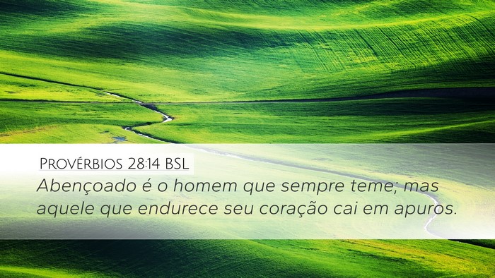 Provérbios 28:14 BSL Bible Verse Image