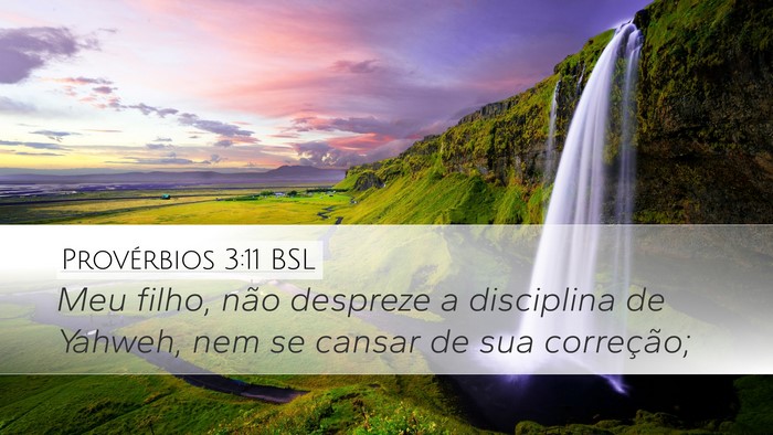 Provérbios 3:11 BSL Bible Verse Image