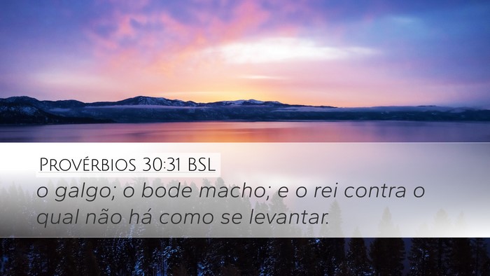 Provérbios 30:31 BSL Bible Verse Image