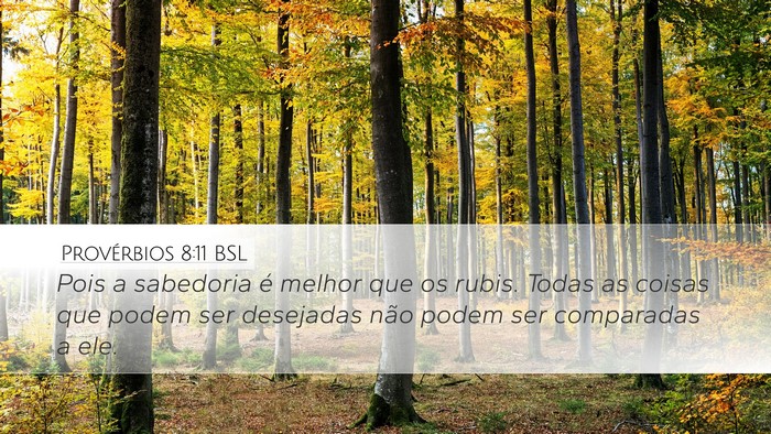 Provérbios 8:11 BSL Bible Verse Image