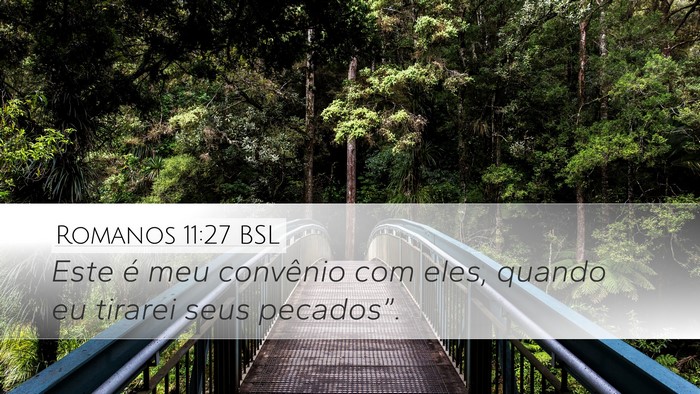 Romanos 11:27 BSL Bible Verse Image