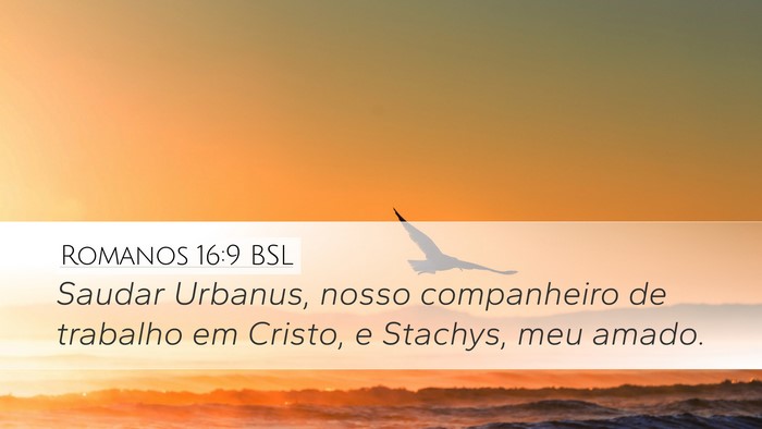 Romanos 16:9 BSL Bible Verse Image