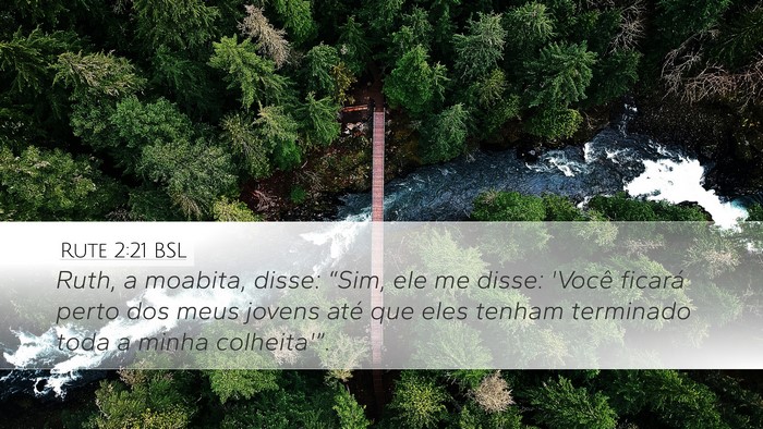 Rute 2:21 BSL Desktop Wallpaper - Ruth, a moabita, disse: “Sim, ele me disse: - Desktop Bible Verse Wallpaper