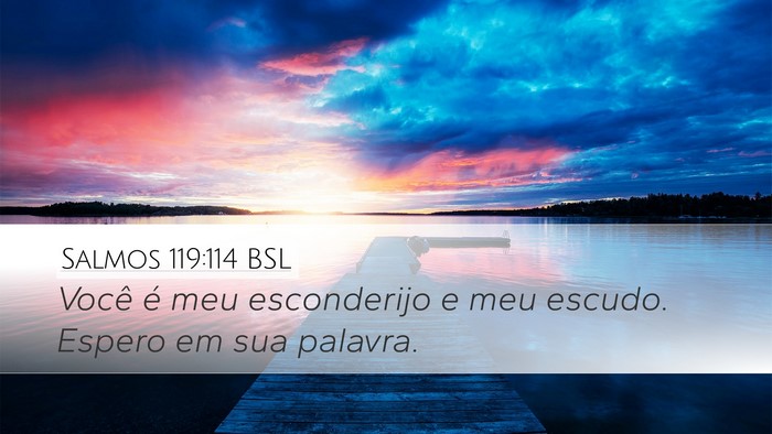 Salmos 119:114 BSL Bible Verse Image