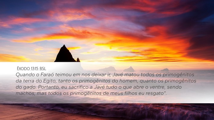 Êxodo 13:15 BSL Bible Verse Image