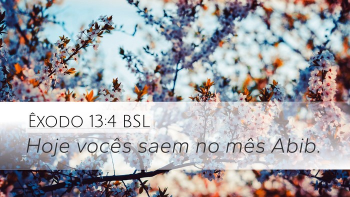 Êxodo 13:4 BSL Bible Verse Image