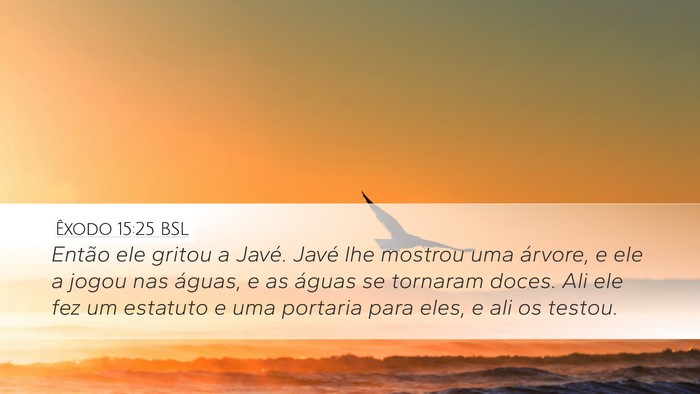 Êxodo 15:25 BSL Bible Verse Image