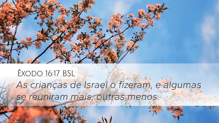 Êxodo 16:17 BSL Desktop Wallpaper - As crianças de Israel o fizeram, e algumas se - Desktop Bible Verse Wallpaper