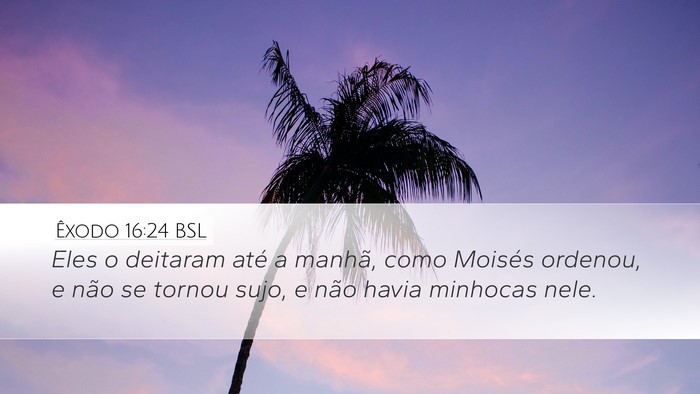 Êxodo 16:24 BSL Desktop Wallpaper - Eles o deitaram até a manhã, como Moisés - Desktop Bible Verse Wallpaper