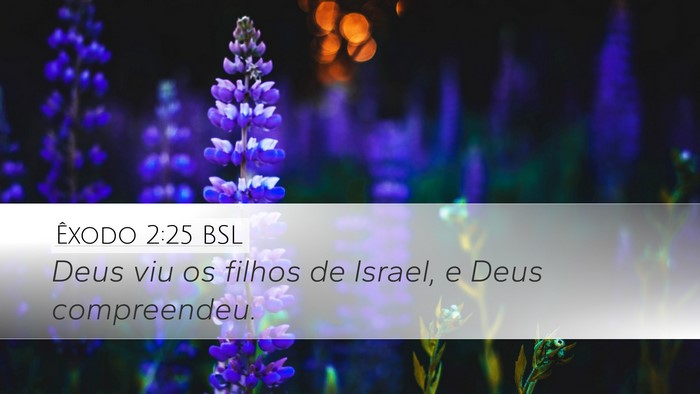 Êxodo 2:25 BSL Bible Verse Image