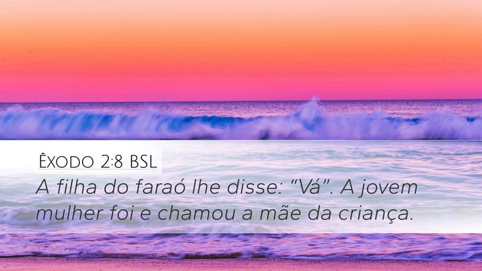 Êxodo 2:8 BSL Desktop Wallpaper - A filha do faraó lhe disse: “Vá”. A jovem - Desktop Bible Verse Wallpaper