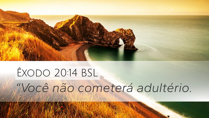 Êxodo 20:14 BSL Bible Verse Image