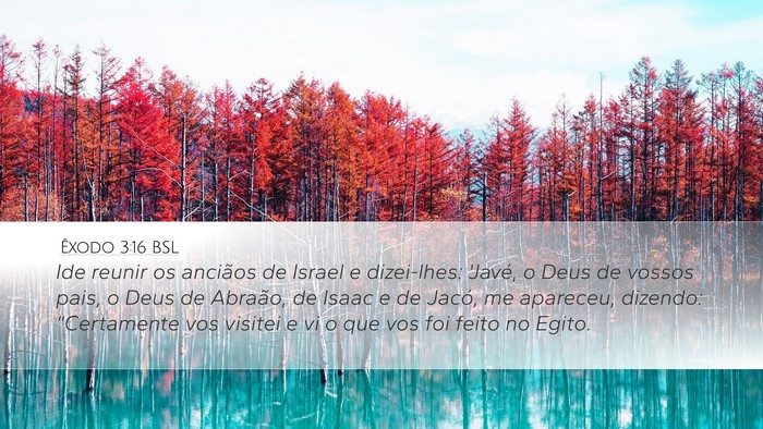 Êxodo 3:16 BSL Bible Verse Image