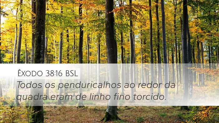 Êxodo 38:16 BSL Desktop Wallpaper - Todos os penduricalhos ao redor da quadra eram de - Desktop Bible Verse Wallpaper