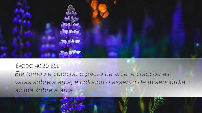 Êxodo 40:20 BSL Bible Verse Image