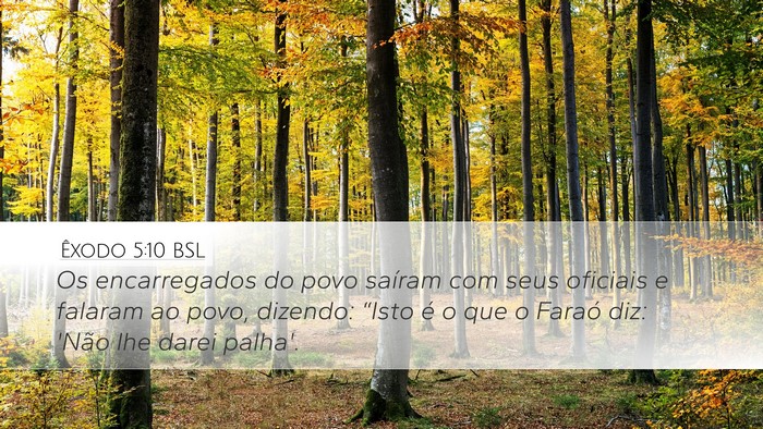 Êxodo 5:10 BSL Desktop Wallpaper - Os encarregados do povo saíram com seus oficiais - Desktop Bible Verse Wallpaper