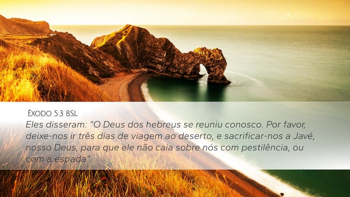 Êxodo 5:3 BSL Bible Verse Image