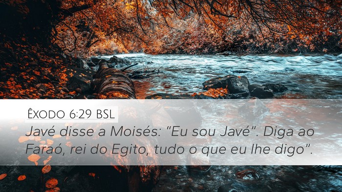 Êxodo 6:29 BSL Bible Verse Image