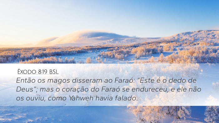 Êxodo 8:19 BSL Bible Verse Image
