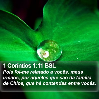 1 Coríntios 1:11 BSL Bible Verse Image