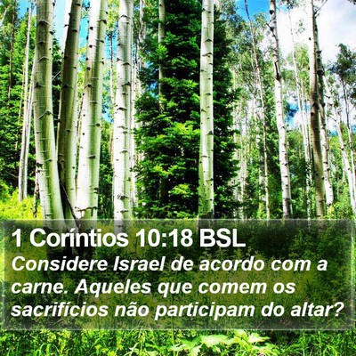 1 Coríntios 10:18 BSL Bible Verse Image