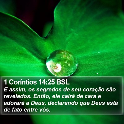 1 Coríntios 14:25 BSL Bible Verse Image