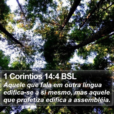 1 Coríntios 14:4 BSL Bible Verse Image