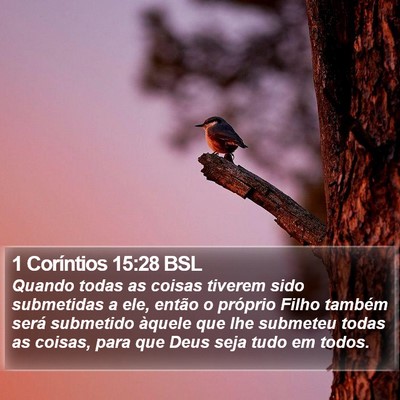 1 Coríntios 15:28 BSL Bible Verse Image