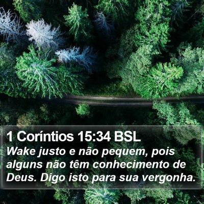1 Coríntios 15:34 BSL Bible Verse Image