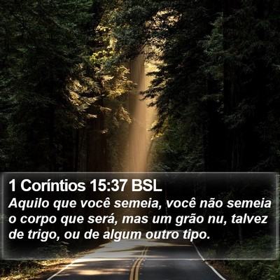 1 Coríntios 15:37 BSL Bible Verse Image