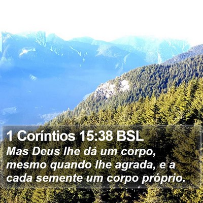 1 Coríntios 15:38 BSL Bible Verse Image
