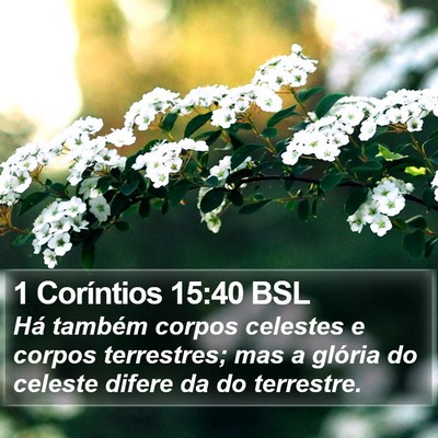 1 Coríntios 15:40 BSL Bible Verse Image