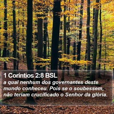 1 Coríntios 2:8 BSL Bible Verse Image