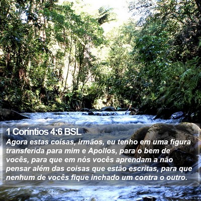 1 Coríntios 4:6 BSL Bible Verse Image