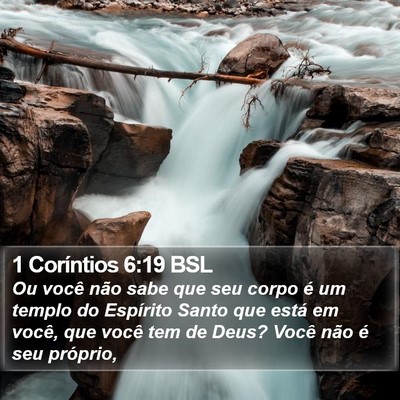 1 Coríntios 6:19 BSL Bible Verse Image