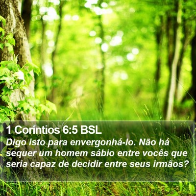 1 Coríntios 6:5 BSL Bible Verse Image