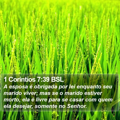 1 Coríntios 7:39 BSL Bible Verse Image