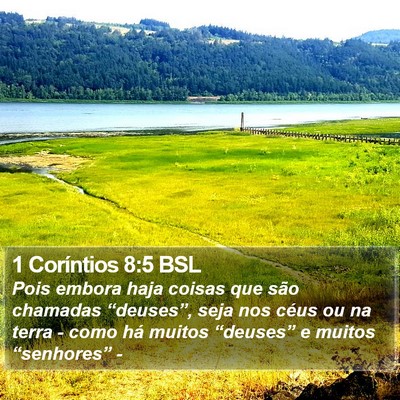 1 Coríntios 8:5 BSL Bible Verse Image