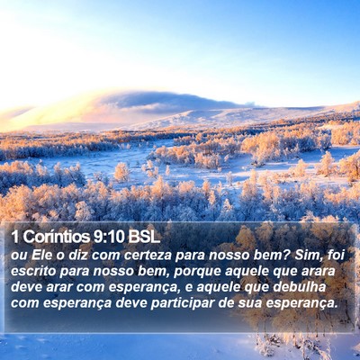 1 Coríntios 9:10 BSL Bible Verse Image