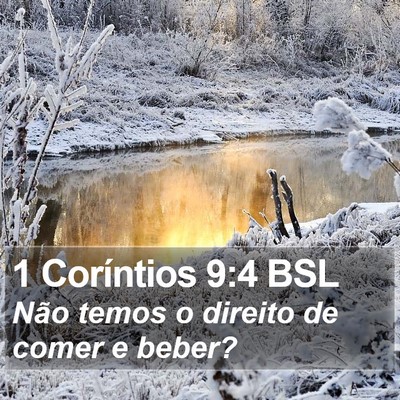 1 Coríntios 9:4 BSL Bible Verse Image