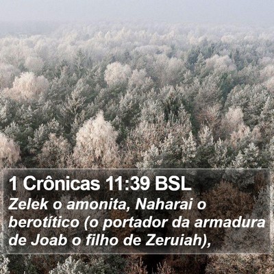 1 Crônicas 11:39 BSL Bible Verse Image