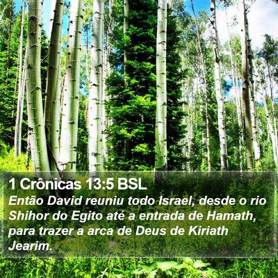 1 Crônicas 13:5 BSL Bible Verse Image