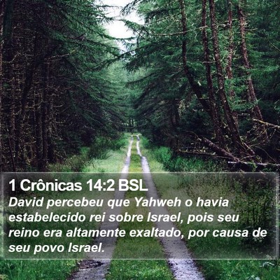 1 Crônicas 14:2 BSL Bible Verse Image