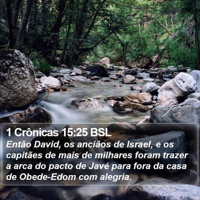 1 Crônicas 15:25 BSL Bible Verse Image